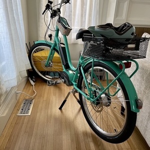 2022 Electra Townie Go! 5i Step-Through Electric Bike Green