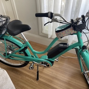 2022 Electra Townie Go! 5i Step-Through Electric Bike Green