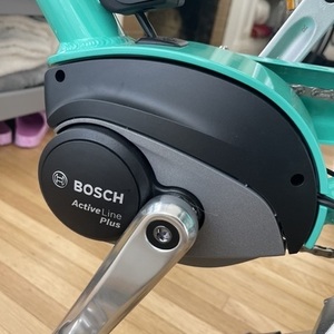 2022 Electra Townie Go! 5i Step-Through Electric Bike Green