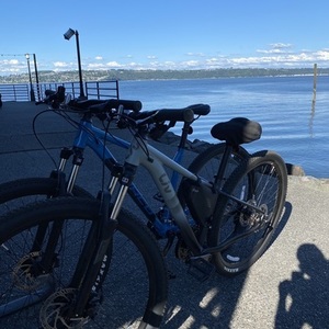 2021 Norco Bikes Storm 4 Large Blue