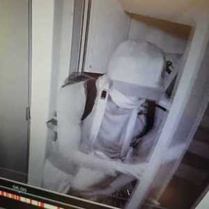 2004 Trek 4900 Silver, gray or bare metal and Black