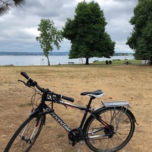 2014 Cannondale Quick 4 Blue and White
