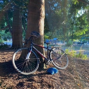 2014 Cannondale Quick 4 Blue and White