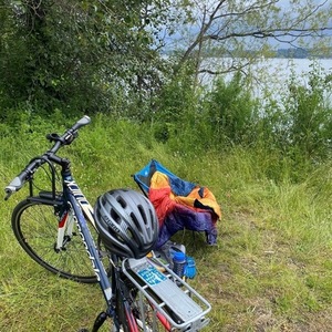 2014 Cannondale Quick 4 Blue and White