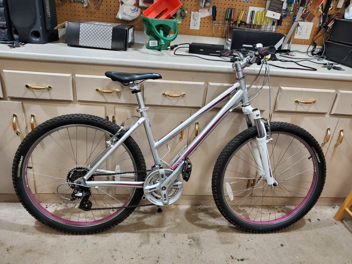 Giant Revel 1 W