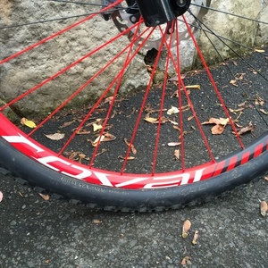 2012 Specialized S-Works Epic Carbon 29 XTR Black