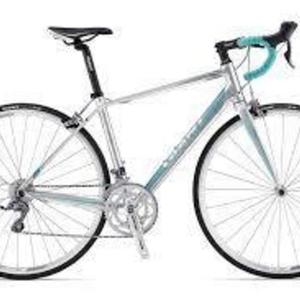 Giant Avail 5 Silver or Gray and Teal