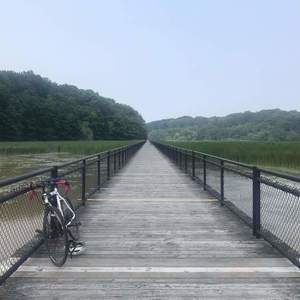 Genesis Saber KENT White