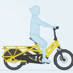 2019 Tern GSD S00 cargo bike (rear storage) Yellow or Gold
