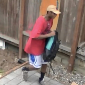 2019 Tern GSD S00 cargo bike (rear storage) Yellow or Gold