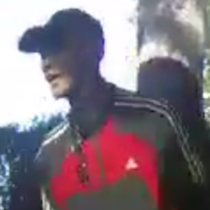 2019 Tern GSD S00 cargo bike (rear storage) Yellow or Gold