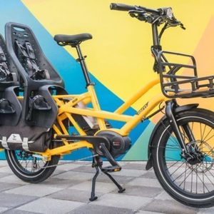 2019 Tern GSD S00 cargo bike (rear storage) Yellow or Gold