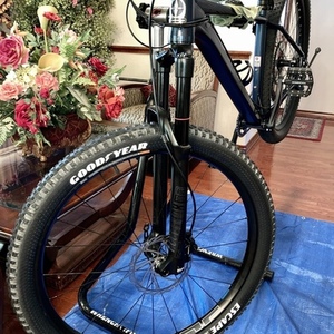 2021 Schwinn AXUM Blue