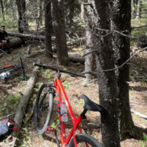 2020 Trek Marlin 6 Red