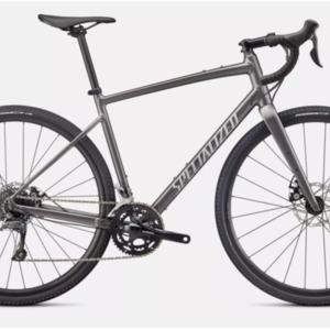 2020 Specialized Diverge E5 Silver, gray or bare metal