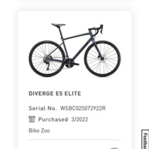 2021 Specialized Diverge Silver, gray or bare metal