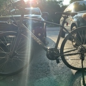 2021 Trek FX1 Silver, gray or bare metal