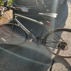 2021 Trek FX1 Silver, gray or bare metal