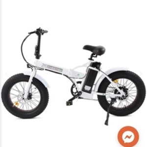 2020 Ecotric White