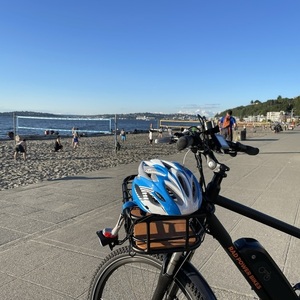 Rad Power Bikes RadCity 4 Black