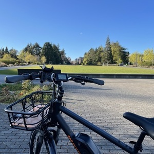 Rad Power Bikes RadCity 4 Black