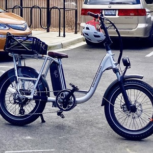 2020 Rad Power Bikes RadRunner Plus Silver, gray or bare metal