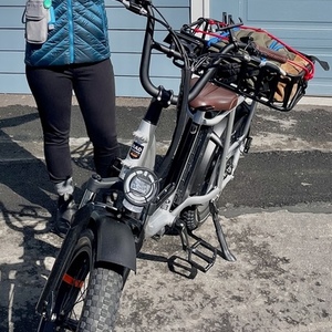 2020 Rad Power Bikes RadRunner Plus Silver, gray or bare metal