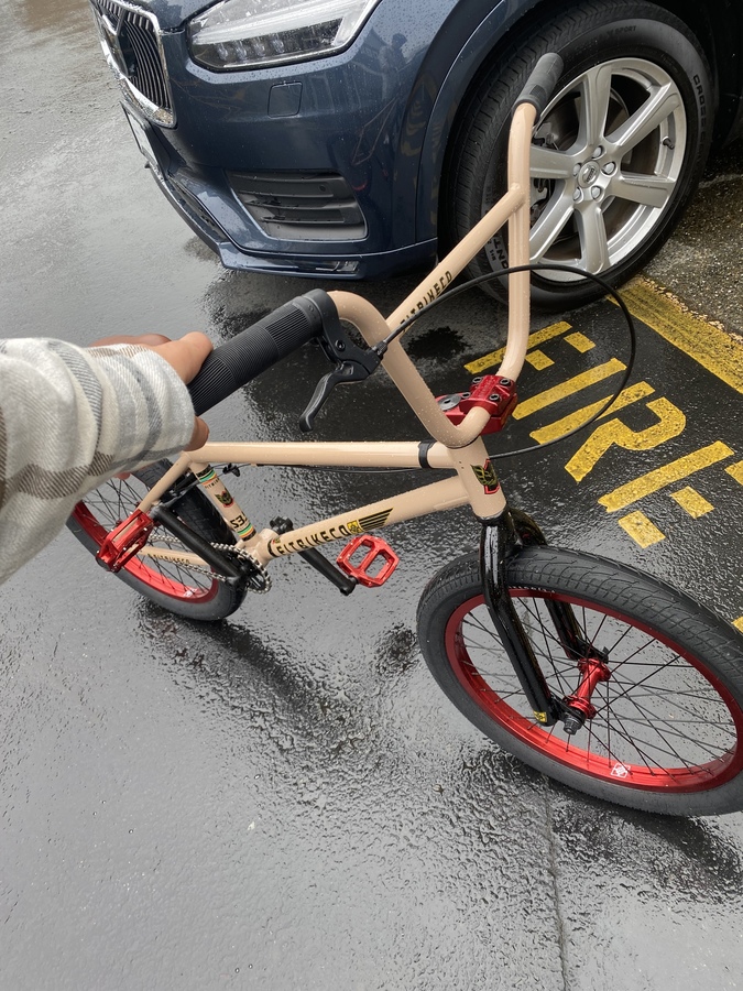 Bike photo