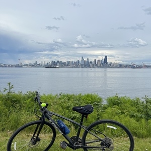 2020 Trek Fx2 Black
