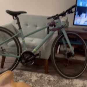 2022 REI CTY 1.1 St Teal