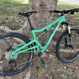2015 Santa Cruz Bantam Green
