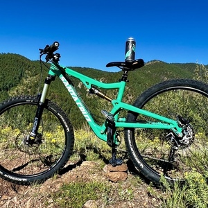 2015 Santa Cruz Bantam Green