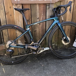 2022 Specialized Roubaix Expert Green