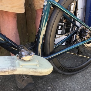 2022 Specialized Roubaix Expert Green