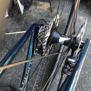 2022 Specialized Roubaix Expert Green