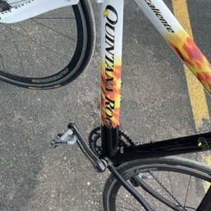 2022 Quintana Roo CALIENCE White, Black, and Yellow or Gold