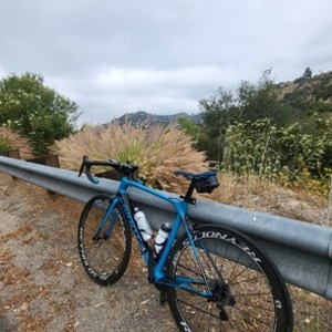 2018 Giant Tcr Advanced Blue and Black