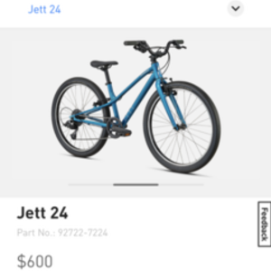 2021 Specialized Jett 24 Teal