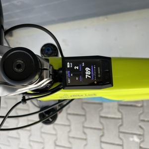 2020 Trek Rail 7 Yellow or Gold