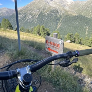 2020 Trek Rail 7 Yellow or Gold