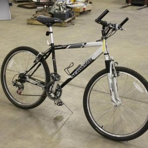 Schwinn Ranger Silver or Gray