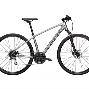 2021 Trek Dual Sport 2 L SL Silver, gray or bare metal