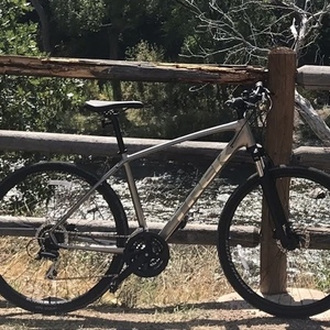 2021 Trek Dual Sport 2 L SL Silver, gray or bare metal