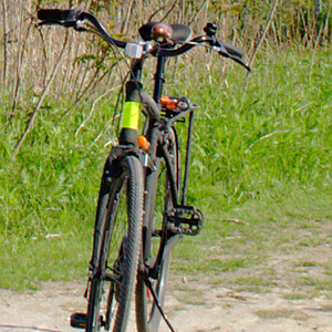 2011 Opus Classico Black