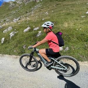 2021 Cube Stereo Hybrid 120 PRO 500 29" Silver, gray or bare metal and Black