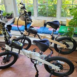2022 Lectric eBikes Lite Yellow or Gold