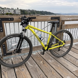 2021 Cannondale Trail 8 Green