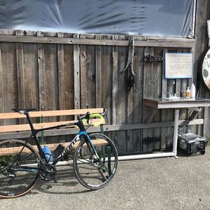 2017 Giant TCR Advanced Pro Disc Black