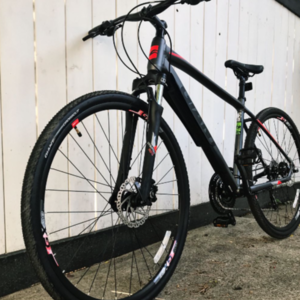2018 Giant Roam Disc Silver, gray or bare metal