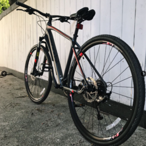 2018 Giant Roam Disc Silver, gray or bare metal